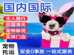 西双版纳嘎洒国际宠物托运 【国